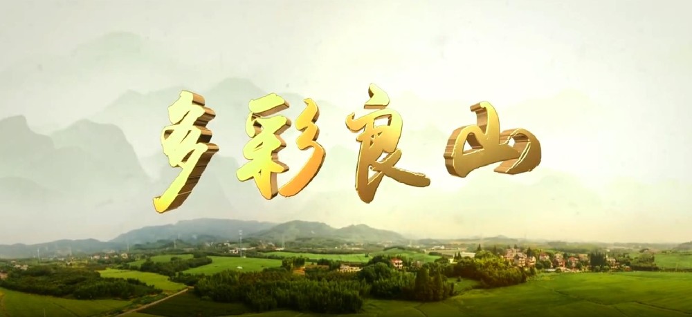 《多彩良山》——慶祝“坂埔古厝”入選“全國重點文物保護單位”